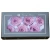 Import Wholesale Galaxy red rose Preserved Real Flowers gifts box for Wedding wall decor from China
