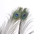 Import Wholesale Handmade High Quality Peacock Tails With Eyes Natural Peacock Feathers from China