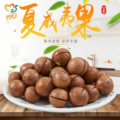 Wholesale Healthy Food organic macadamia nuts