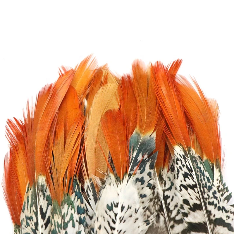 Wholesale High Quality 20-25cm lady amherst pheasant Zebra pattern feather orange tip feather  for accessories or performance