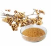 Wholesale Hovenia dulcis Thunb. P.E/Hovenia Dulcis Extract Turnjujube Powder Hovenia Dulcis Extract powder