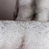 Wholesale  Natural Blue Fox Fur    For Winter Parka Coat materials nutural animal fur real fox fur collar