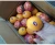 Import Wholesale New Harvest Fresh Citrus Sweet Navel Oranges from Egypt