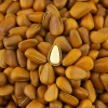 Wholesale OEM Package Raw Healthy Pine Nuts