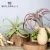 Import Wholesale  plastic air plant artificial plant for office&amp;outdoor decoration from China