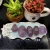 Import Wholesale Reiki Amethyst crystal rough stones healing crystal tumbled stones from China