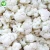 Import Wholesale Seasonal Vegetable Frozen Broccoli And Cauliflower In price from China
