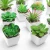 Wholesale succulent plant potted plant simulation decorative plant creative ornaments