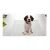 Import Wholesale waterproof disposable dog pee puppy training pet pad from China