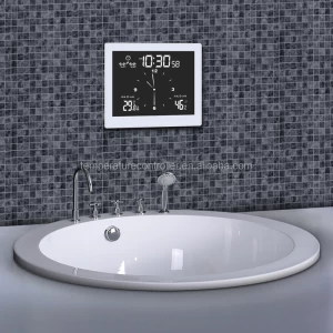 WP-10 Digital wall clock water resistant IP65 grade clock  for bath room