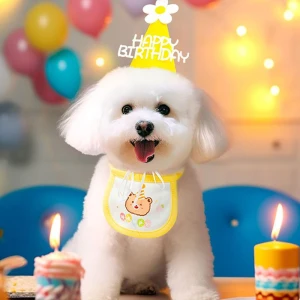 pet birthday hat (hat + bib)