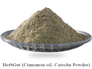 Premix HerbGut Cinnamon Oil and Catechu Powder