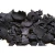Import Coconut Shells Charcoal from Ghana