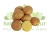 Import Granola Potato /  Yellow potato from Indonesia