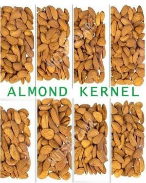 Almond Kernel
