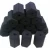 Import Hardwood BBQ Charcoal Briquettes from Indonesia