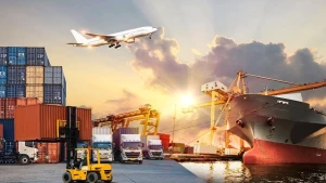 How do overseas buyers find professional freight forwarders in the country?