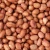 Import Peanuts Kernels from Thailand