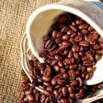 Fresh Arabica Coffee Beans Direct From Farm Rich Dark Taste Perfect For Coffee Lovers And Wholesale Bulk Supply