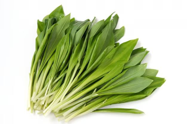 Buy High Quality Ramson Export from Afrivet Trading Services, South ...