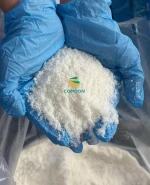 DESICCATED COCONUT HIGH FAT - COMOON DESICCATED COCONUT