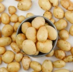 Selling a container of potatoes, either dirty or washable.