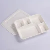 Biodegradable Disposable Deep Tray with Lid Sugarcane School Lunch Tray﻿