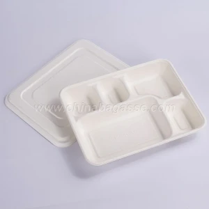 Biodegradable Disposable Deep Tray with Lid Sugarcane School Lunch Tray﻿