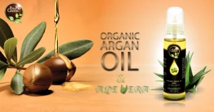 Natural argan oil for SPA benefits for hair and skin 100 % organic