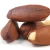 Import Pili nuts from South Africa