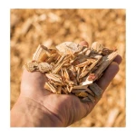 High-quality Woodchips for sale in bulk at competitive prices