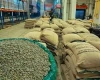 Premium Green Coffee Beans – Arabica & Robusta for Bulk Export