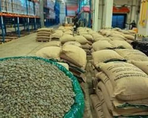 Premium Green Coffee Beans – Arabica & Robusta for Bulk Export