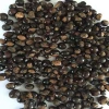 Guarana Seeds, Powders, Extracts