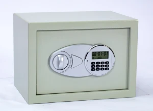 Dinarsafe Sc250 Combination Key Outdoor Home Safe Economy Safe Box Digital Lock Safe