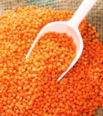 Premium red lentils available in bulk for export and wholesale trade