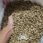 Robusta S16 grade A