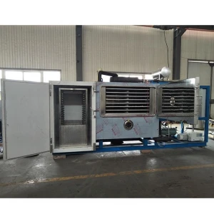 LG-10 Food Type Freeze Dryer for sale
