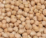 Chickpea Kabuli