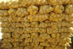 Premium High Quality Healthy Potato Containing Calcium , Magnesium for Sale