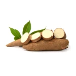 Natural Fresh Tapioca Cassava Root Export Wholesale Supplier