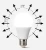 Import 270° Beam Angle LED Bulb from China