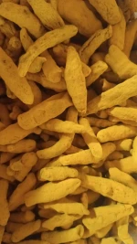 Turmeric Fingers