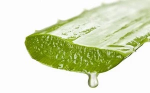 100% Pure Natural Aloe Vera Leaves Oil Genuine Plant Extract
