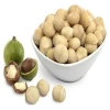100% top quality macademia nuts