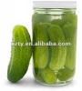 1000ml food grade glass pickled vegetable empty jar with white lid