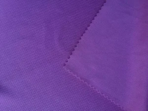 100%Polyester Dry Fit Interlock Bird Eyes Fabric