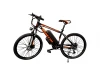 128th autumn Canton Fair online Classic Electric Bicycle 250W 350W Mountain Bike with Lithium Battery 36V 48V Ebike Europe