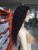 Import 150% Density Body Wave Virgin Hair Transparent Lace Front Wigs from China