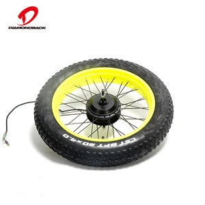 20 Inch Front Wheel Bicycle Parts Electric Bike Conversion Kit